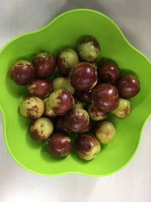 哪里的冬棗最好?山東沾化、河北黃驊、陜西大荔,還是山西、新疆江西或其他地方?